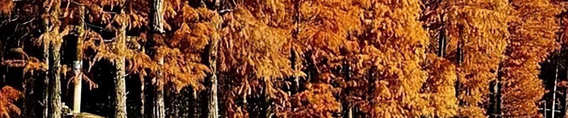 米兰体育app品牌故事